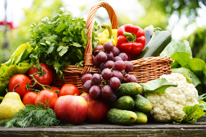 A Plant-Based Lifestyle for Beginners
