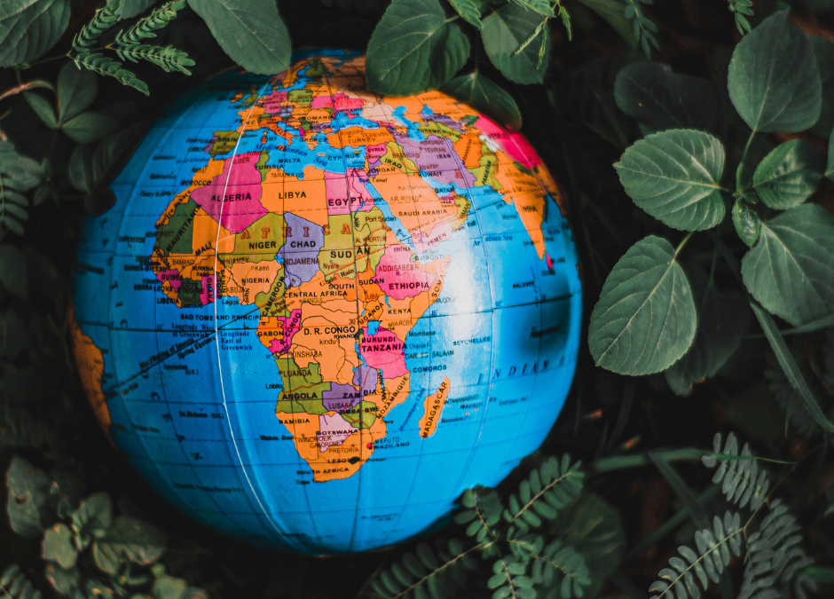 International Travel Essentials!